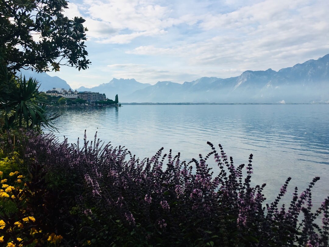 Grand lakeside hotel facade on Lake Geneva